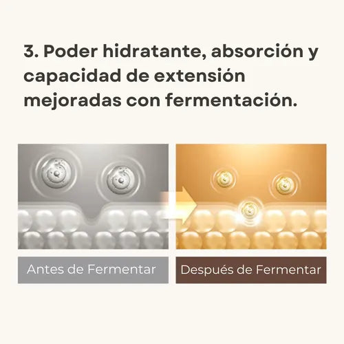 Mixsoon Esencia Facial de Frijol 50ml - Sérum Hidratante, Todo Tipo de Piel Día/Noche
